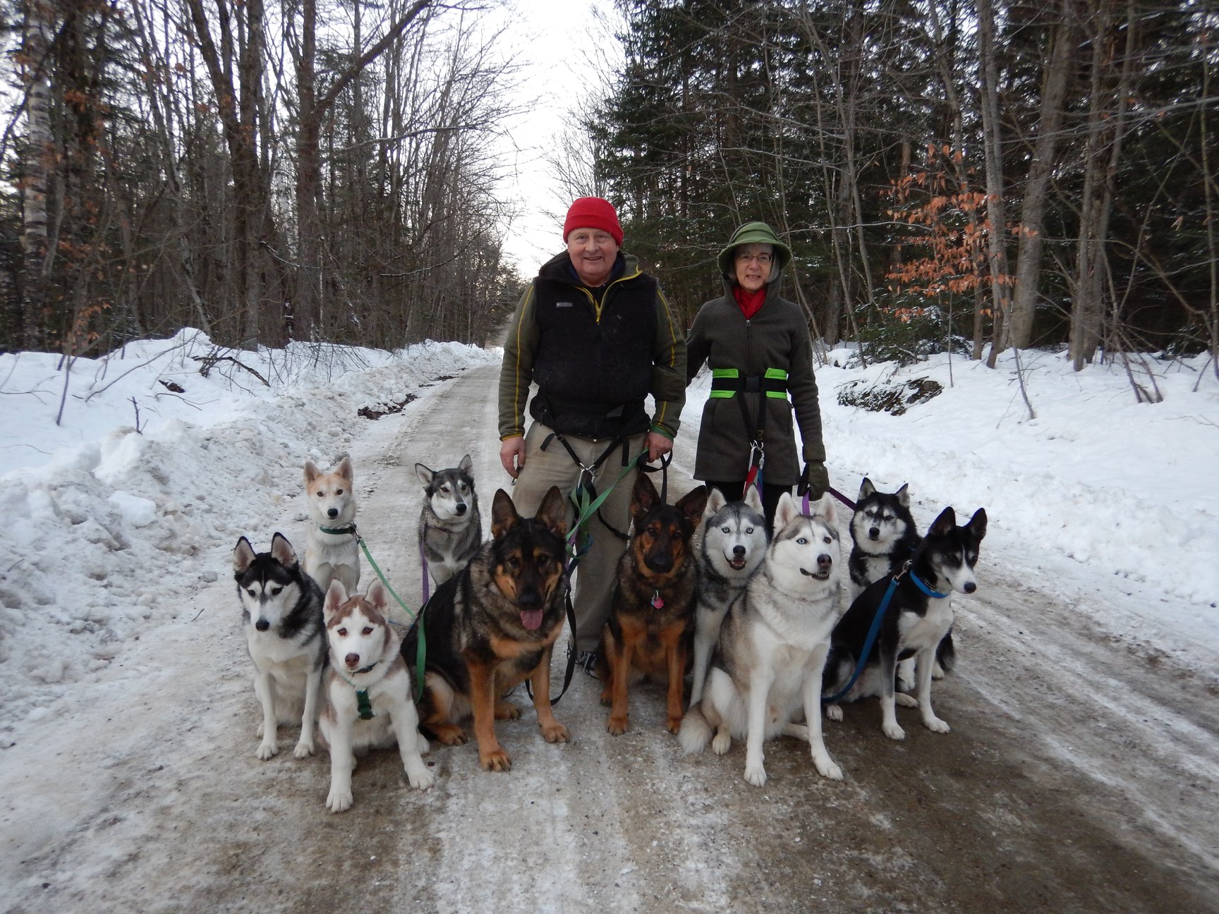 49110312_2330528053869594_5330202427498954752_o